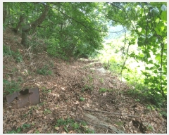  2025Ÿ��1158  ����