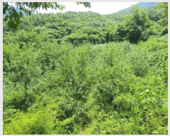  2025Ÿ��1158  ����