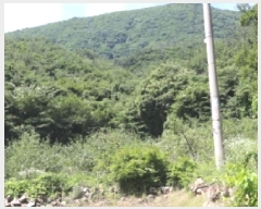  2025Ÿ��1158  ����