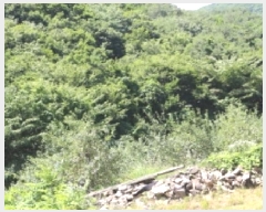  2025Ÿ��1158  ����