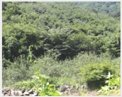  2025Ÿ��1158  ����