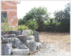  2025Ÿ1189 泲 â籺  ϸ 209-4      ð