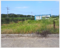  2025Ÿ��1240 �泲 â�籺 ������ �а踮 1247-28      ����(��1)���