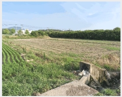  2025Ÿ1301 泲 â籺  Ҹ 669-6      (1)