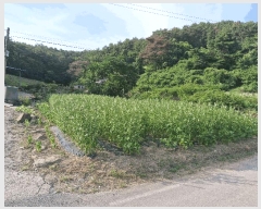  2025Ÿ1301 泲 â籺  Ҹ 669-6      (1)