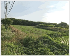  2025Ÿ1301 泲 â籺  Ҹ 669-6      (1)