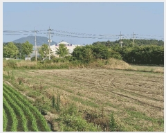  2025Ÿ1301 泲 â籺  Ҹ 669-6      (1)