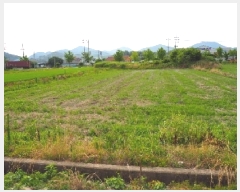  2025Ÿ1301 泲 â籺  Ҹ 669-6      (1)