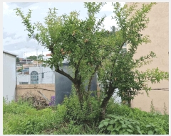  2025Ÿ��1363 �泲 �о�� ���ϵ� 377-4       �ܵ�����,�����ð��