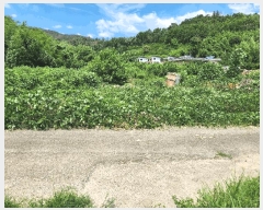  2025Ÿ��1400 �泲 �о�� �κϸ� ���ʸ� 330      ����(��)���