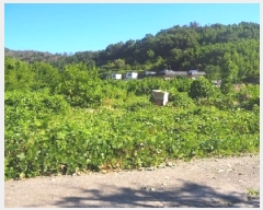  2025Ÿ��1400 �泲 �о�� �κϸ� ���ʸ� 330      ����(��)���