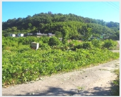  2025Ÿ��1400 �泲 �о�� �κϸ� ���ʸ� 330      ����(��)���