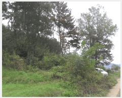  2025Ÿ��1462 �泲 �о�� �κϸ� ���׸� 926-1      ����(��)���