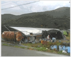  2025Ÿ��1462 �泲 �о�� �κϸ� ���׸� 926-1      ����(��)���