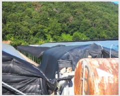  2025Ÿ��1462 �泲 �о�� �κϸ� ���׸� 926-1      ����(��)���