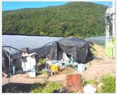  2025Ÿ��1462 �泲 �о�� �κϸ� ���׸� 926-1      ����(��)���