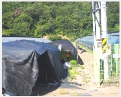  2025Ÿ��1462 �泲 �о�� �κϸ� ���׸� 926-1      ����(��)���