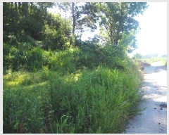  2025Ÿ��1462 �泲 �о�� �κϸ� ���׸� 926-1      ����(��)���