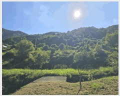  2025Ÿ��1493  ����