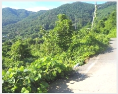  2025Ÿ��1493  ����