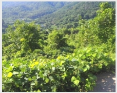  2025Ÿ��1493  ����