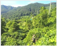  2025Ÿ��1493  ����