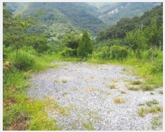  2025Ÿ��1592 �泲 �о�� ����� ��õ�� 1370-5      �ܵ�����,�����ð��