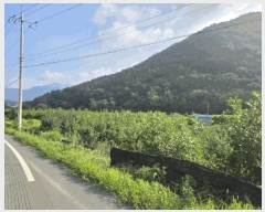  2025Ÿ��1684 �泲 �о�� û���� ��õ�� 116      ����(��)���