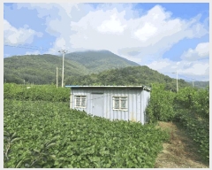  2025Ÿ��1684 �泲 �о�� û���� ��õ�� 116      ����(��)���