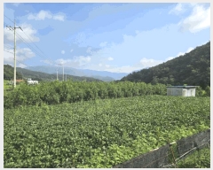  2025Ÿ��1684 �泲 �о�� û���� ��õ�� 116      ����(��)���