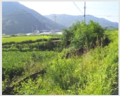  2025Ÿ��1684 �泲 �о�� û���� ��õ�� 116      ����(��)���