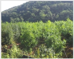  2025Ÿ��1684 �泲 �о�� û���� ��õ�� 116      ����(��)���