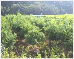  2025Ÿ��1684 �泲 �о�� û���� ��õ�� 116      ����(��)���