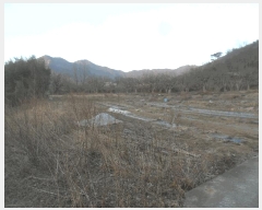  2025Ÿ��1714  �������