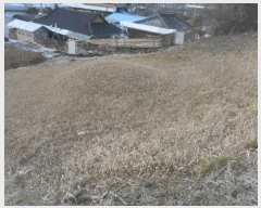  2025Ÿ��1714  �������