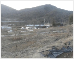  2025Ÿ��1714  �������