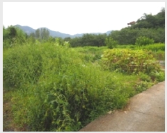  2025Ÿ��1714  �������