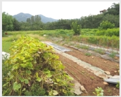  2025Ÿ��1714  �������