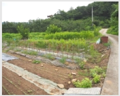  2025Ÿ��1714  �������