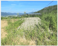  2025Ÿ��1745 �泲 �о�� �κϸ� ������ 695-1      ����(����)���