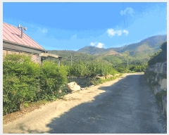  2025Ÿ��1745 �泲 �о�� �κϸ� ������ 695-1      ����(����)���