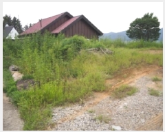  2025Ÿ��1745 �泲 �о�� �κϸ� ������ 695-1      ����(����)���