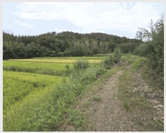  2025Ÿ��1776 �泲 â�籺 ���ո� ������ 264      ����(��)���