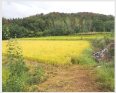  2025Ÿ��1776 �泲 â�籺 ���ո� ������ 264      ����(��)���