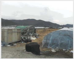  2025Ÿ��1837 �泲 �о�� ��ܸ� ���׸� 883-7      ����(��)���