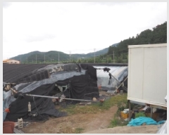  2025Ÿ��1837 �泲 �о�� ��ܸ� ���׸� 883-7      ����(��)���