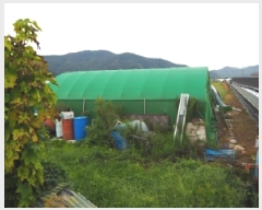  2025Ÿ��1837 �泲 �о�� ��ܸ� ���׸� 883-7      ����(��)���