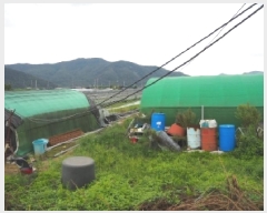  2025Ÿ��1837 �泲 �о�� ��ܸ� ���׸� 883-7      ����(��)���