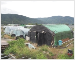  2025Ÿ��1837 �泲 �о�� ��ܸ� ���׸� 883-7      ����(��)���