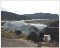  2025Ÿ��1837 �泲 �о�� ��ܸ� ���׸� 883-7      ����(��)���